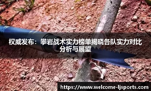 权威发布：攀岩战术实力榜单揭晓各队实力对比分析与展望